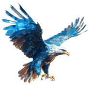 Official logo of iHawk